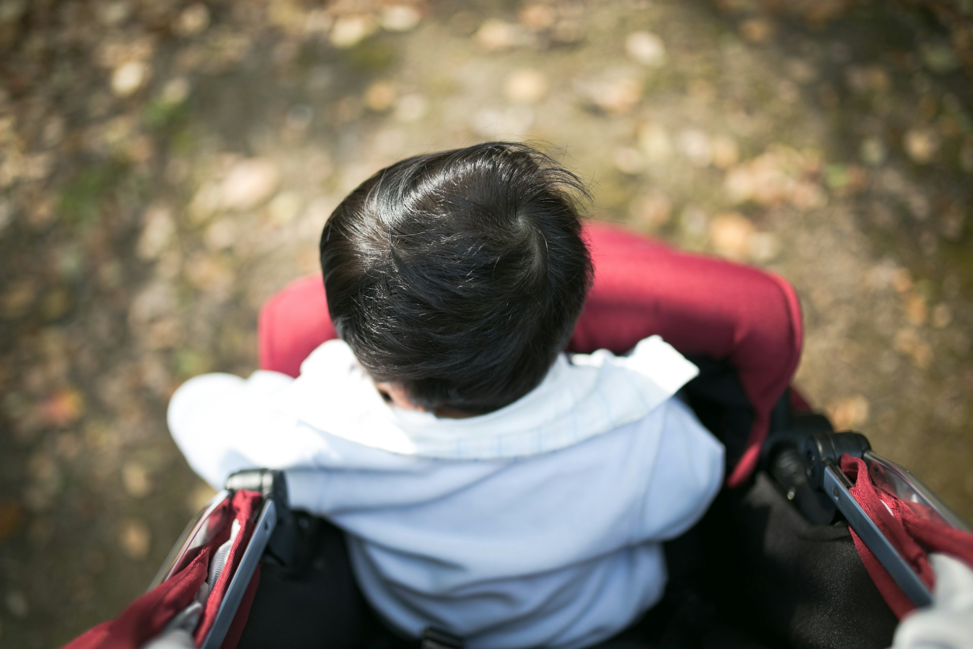 Picture of the back of a child's head in a red pushchair. The child has black straight hair, and they are on a patch of grass.