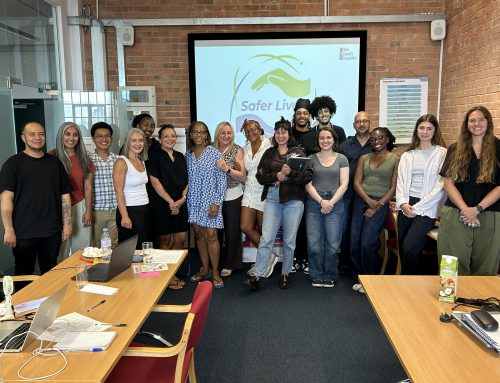 Building trust, learning and evidence: reflections from the SFSC: Safer Lives pilot